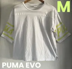 PUMA EVO/プーマエヴォ ストライプ 半袖 Tシャツ