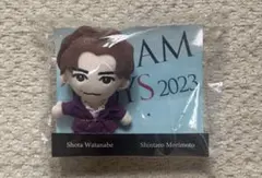 渡辺翔太 DREAMBOYS ぬいぐるみ ちびぬい