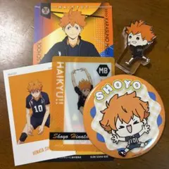 ハイキュー!! 日向翔陽