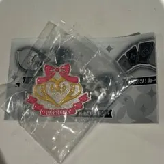 アイカツ プリパラ ピンズコレクション 私立パプリカ学園校章 B