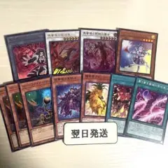 m99252987689_1.jpg?1772871682