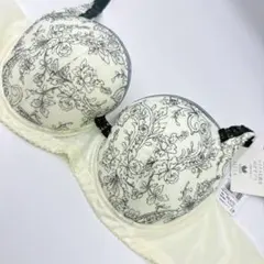 ワコール　アルラ BHD426 マイナス5歳をめざすブラ ブラジャー単品D80