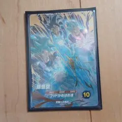 y*i様 孫悟空 AP2-001　パラレル