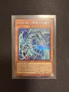 遊戯王 白き幻獣-青眼の白龍 シークレット