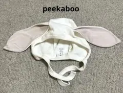 Item thumbnail for item 64508dc7-79a7-4849-a569-9304b8fc81de