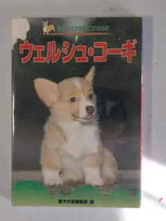 Item thumbnail for item ce49575e-795b-421f-99d7-56d1ac0c79bd