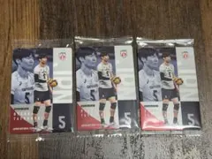 バレーボール男子日本代表　ウエハース　カード　大塚