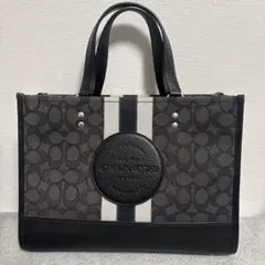 COACH ストライプデザイン ハンドバッグ