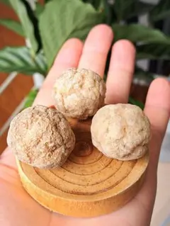 【お買い得】天然石 ミニジオード 3個セット 原石 割れてない