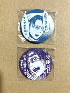 進撃の巨人 スクールカースト缶バッジ ハンジ - メルカリ