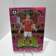 【99枚限定】Chris Wood Panini Select