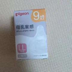 Item thumbnail for item 781a133e-56f0-4a01-884b-e5628da8533d