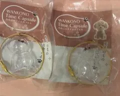 わんこのタイムカプセル2個セット