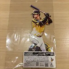 中野拓夢　BIG 阪神タイガース　優勝記念くじ　あたり　アクリルスタンド
