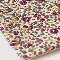 Item thumbnail for item e3fb786d-0185-470e-b085-c8c47bf7843a