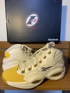 Reebok Question Mid / Kobe Lakers