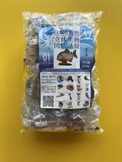 【秋の収穫祭】日本水族館立体生物図録 第2巻〈全15種〉フルコンプリート