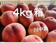 山梨県 桃のサムネイル
