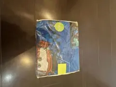 Item thumbnail for item 6ed027b8-9dc1-4d9e-b138-0afc9a38a13a