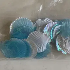 シェル パーツ 貝殻 小