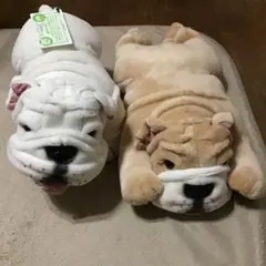 2025年最新】リールくん アールちゃんの人気アイテム - メルカリ