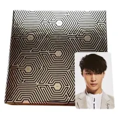 EXO Overdose 中毒 CD 中国語 LAY レイ トレカ