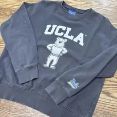 UCLA クマ イラスト　トレーナー