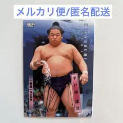 Item thumbnail for item bbc6b58c-8861-447a-874a-d890baccf059