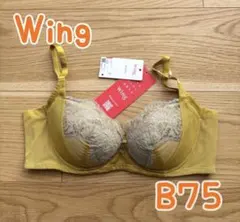 はな様 リクエスト 2点 まとめ商品