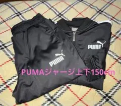 PUMA プーマ　ジャージ上下　150cm