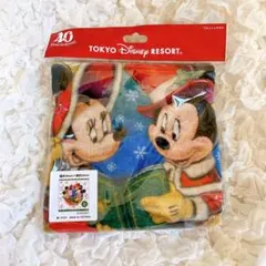 ディズニークリスマス 2023 ウォッシュタオル ハンカチ ハンドタオル