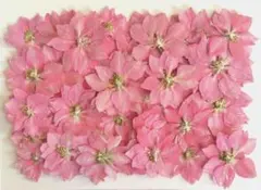 hidamari*様 リクエスト 2点 まとめ商品