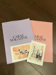 SEVENTEEN CARAT 会報 Vol.14、15 (ポストカード2枚)