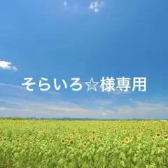 ★ そらいろ☆様専用★ナースオーガナイザー　ペンケース