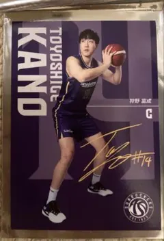 東京サンロッカーズ　狩野富成選手　ファンクラブ来場特典カード