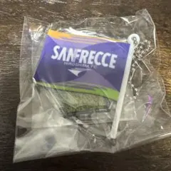 Item thumbnail for item 9c28a20a-530f-4dac-8161-08e8a85e478f