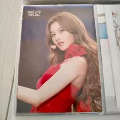 TWICE READY TO BE SPECIAL ライブフォトトレカ サナ