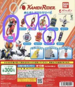 仮面ライダーめじるしアクセサリー4 5点まとめ売りセット