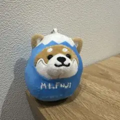 ☆ちーころ✩.*˚様 リクエスト 3点 まとめ商品
