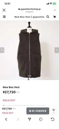 Gypsohila new Boa Vest