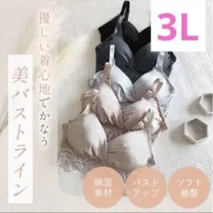 新品ブラデリスニューヨーク　3L 綿混ストレッチハイブリッドハートカップブラのサムネイル