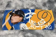 Item thumbnail for item 3605dfcf-b387-4909-a436-567019a0c745