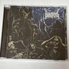 Вывороть / Вывороть