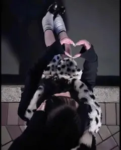 101匹わんちゃん マフラーキャップ