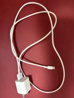 Apple iPhone 純正　充電器 ライトニング コード ケーブル　イヤホン
