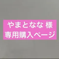 【やまとなな様専用】一晩中あんしんパット6回吸収「24＋2枚入」×5袋 130枚