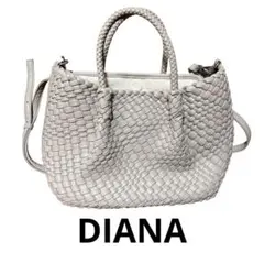 2026年最新】ダイアナ メッシュ バッグの人気アイテム - メルカリ