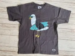 MULGA Tシャツ　コットン100%のサムネイル