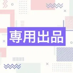 専用出品