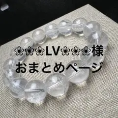 ❀❀❀LV❀❀❀様 リクエスト 5点 まとめ商品